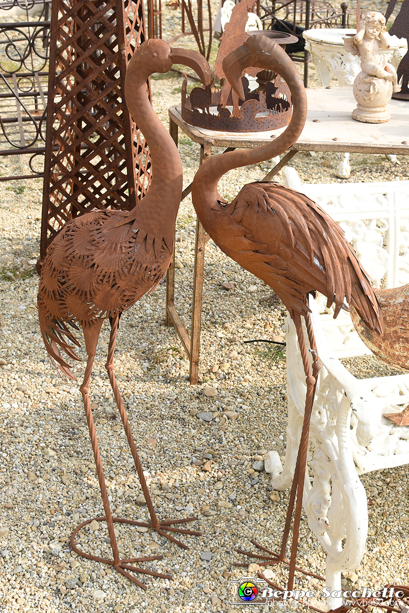 VBS_3619 - Floreal 2023 - Vivere con le piante.jpg